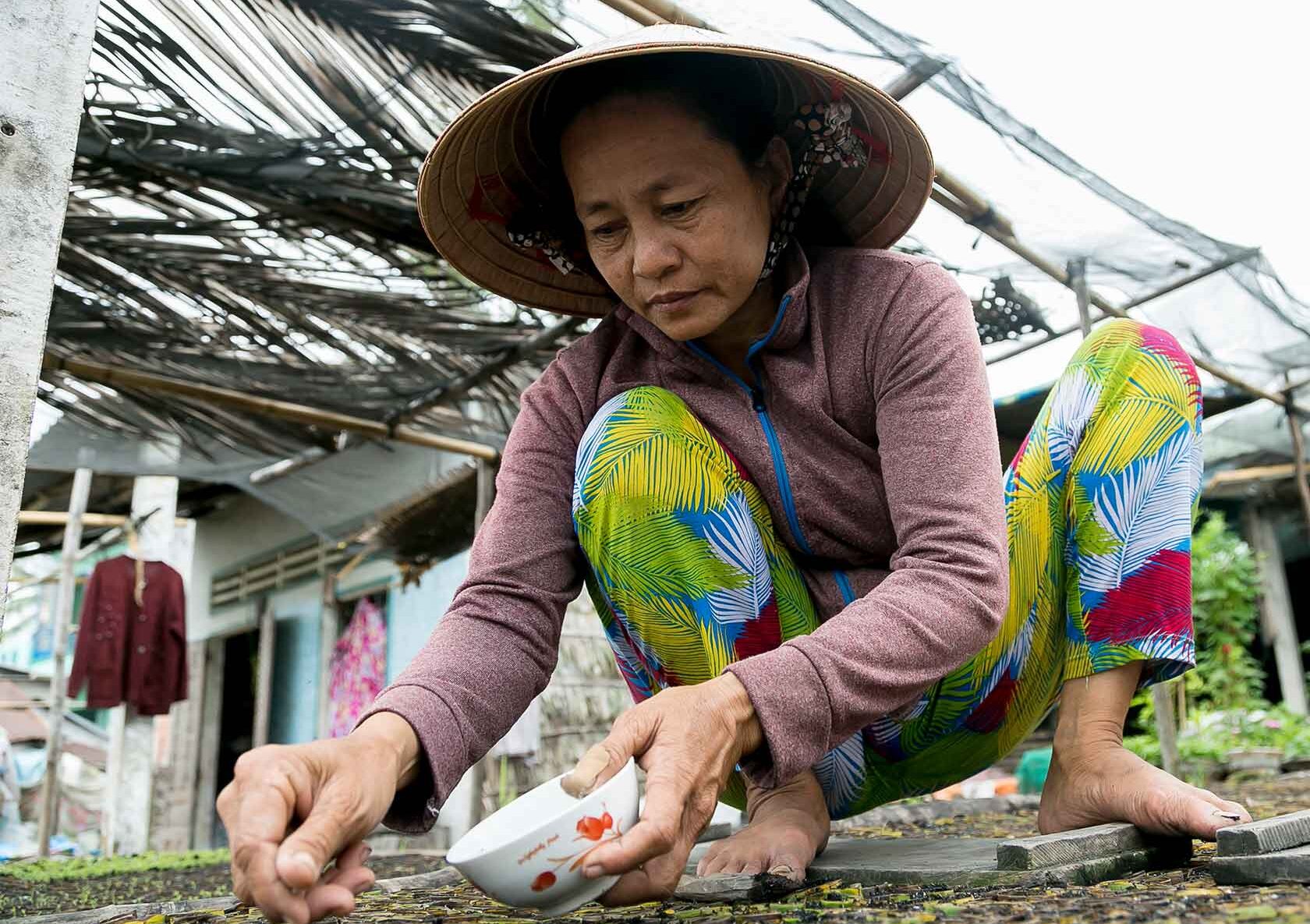 Vietnam-kvinde sår nye planter siddende på hug